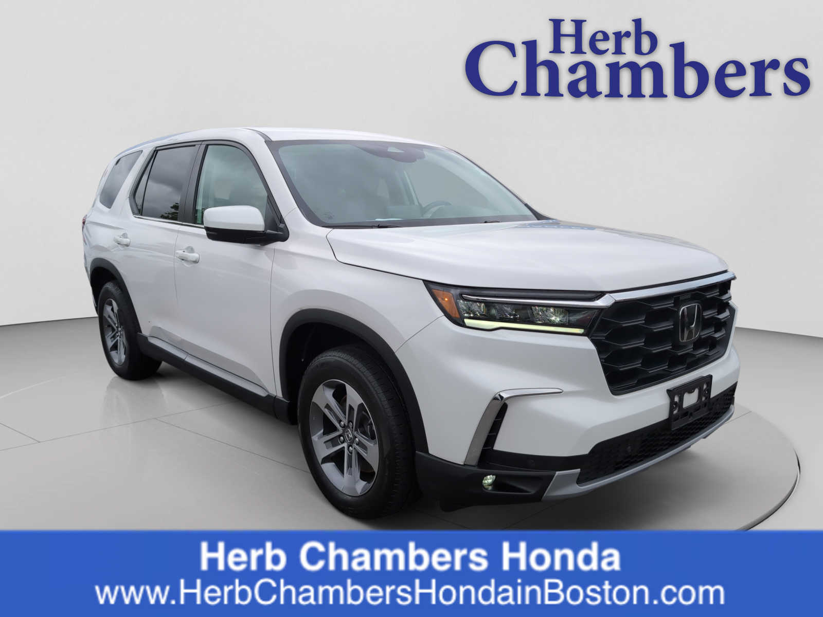 2025 Honda Pilot EX-L AWD's photo
