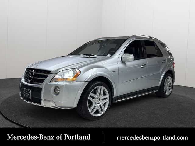 Silver 2010 Mercedes-Benz M-Class SUV / Crossover All-Wheel Drive 7-Speed Automatic