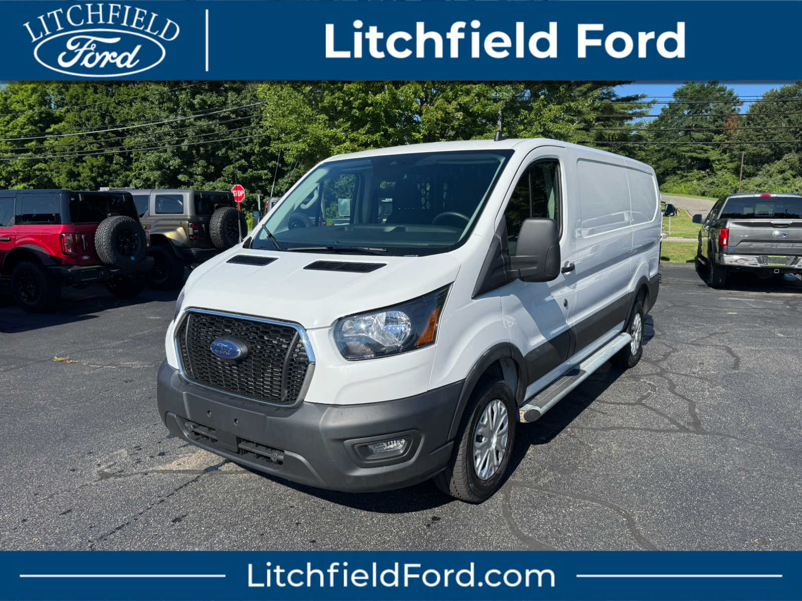  2025 Ford Transit Cargo 250 Low Roof RWD   