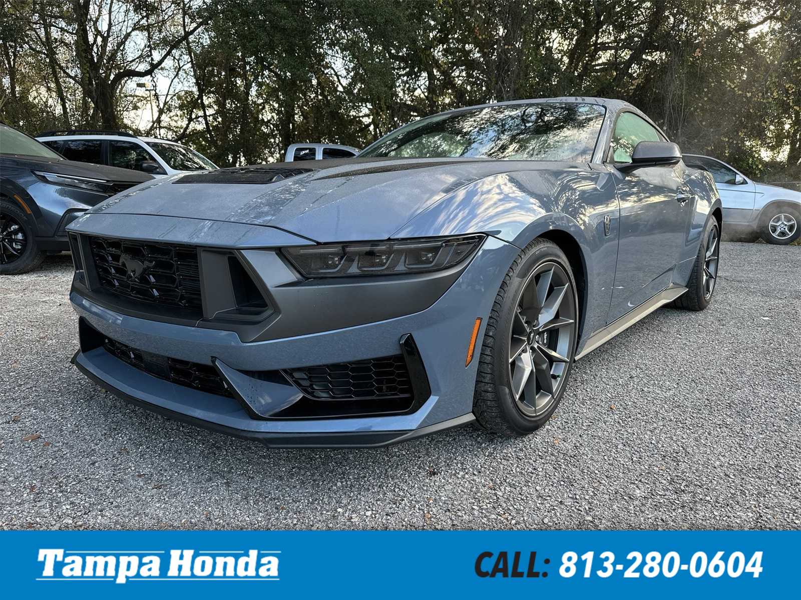 2024 Ford Mustang Dark Horse