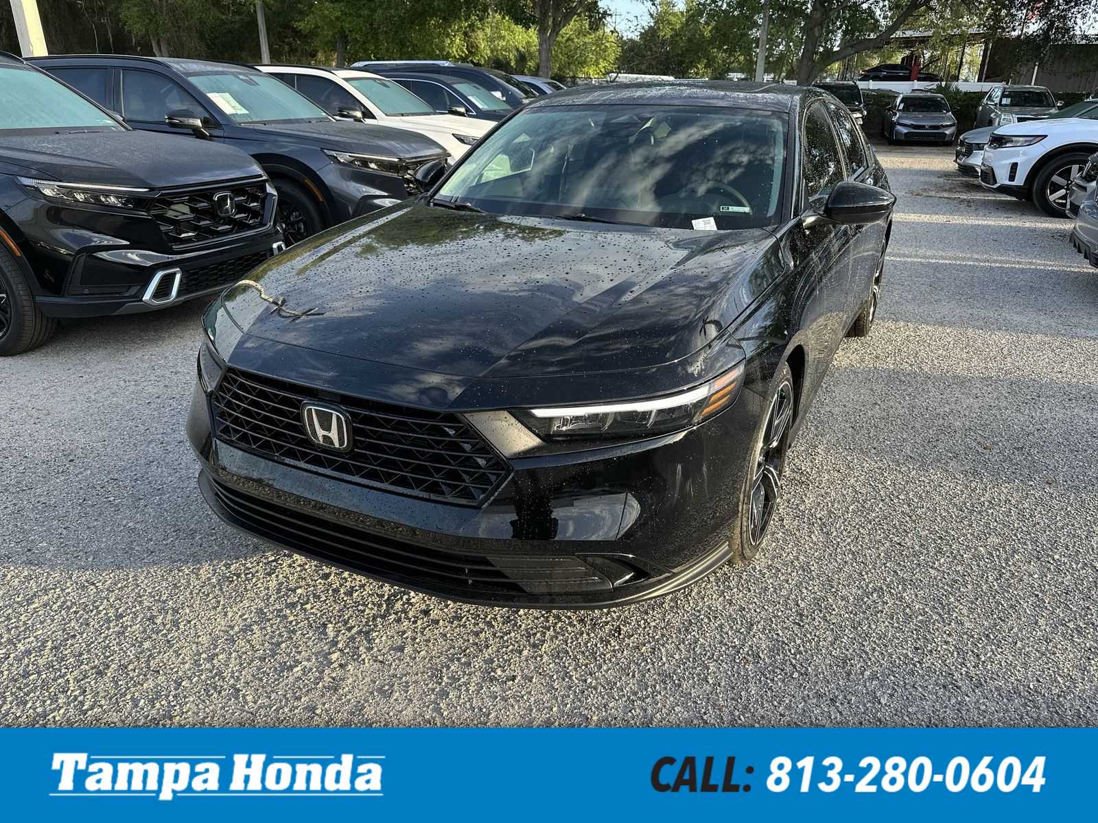 Honda Accord Sedán SE 2026