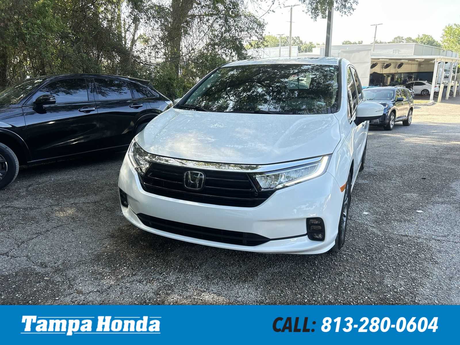 2024 Honda Odyssey EX-L