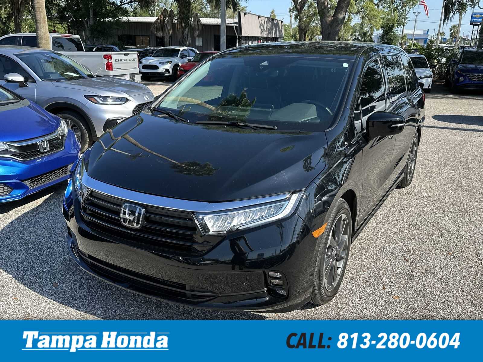 2024 Honda Odyssey Elite