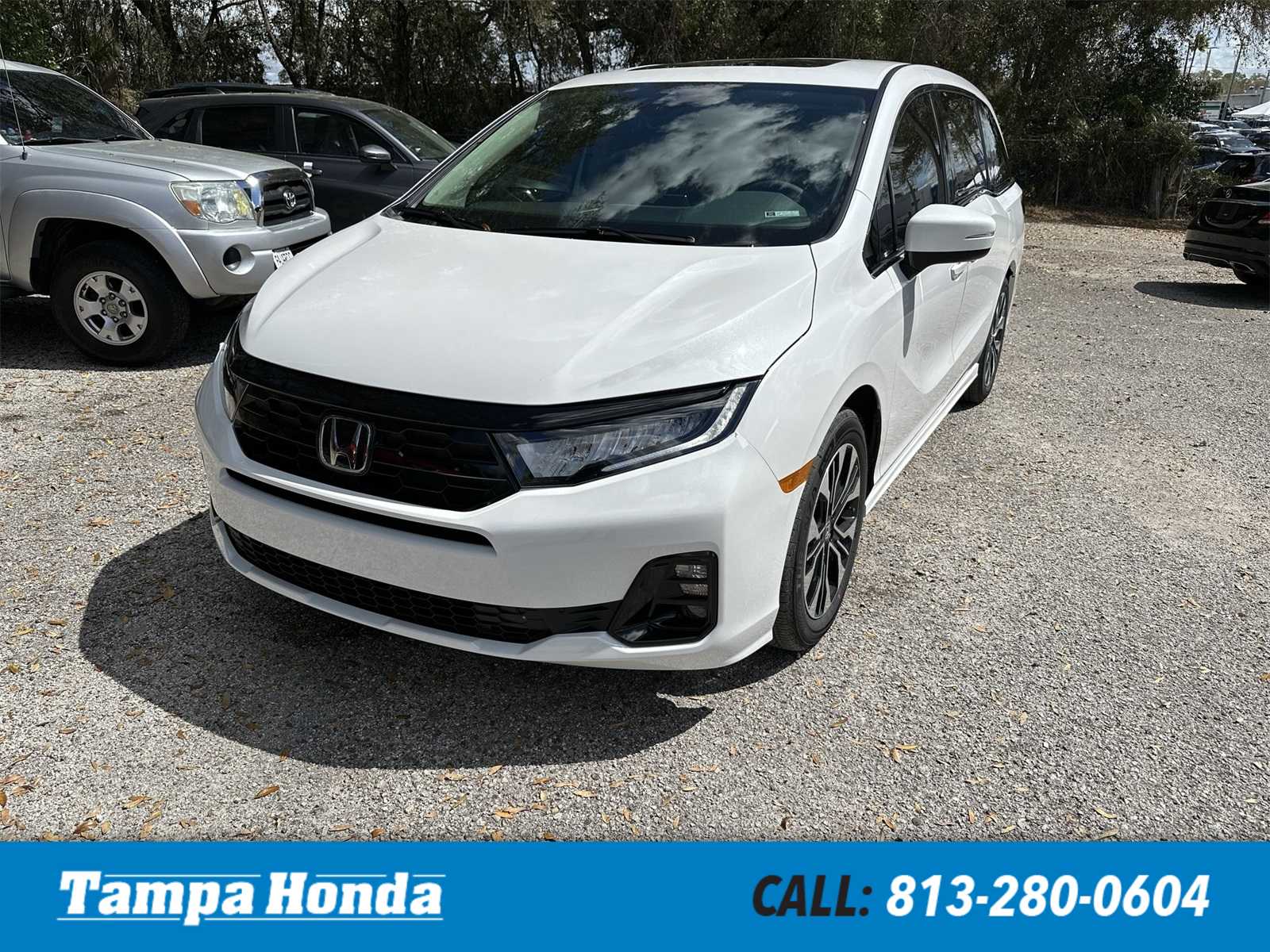 2026 Honda Odyssey Elite