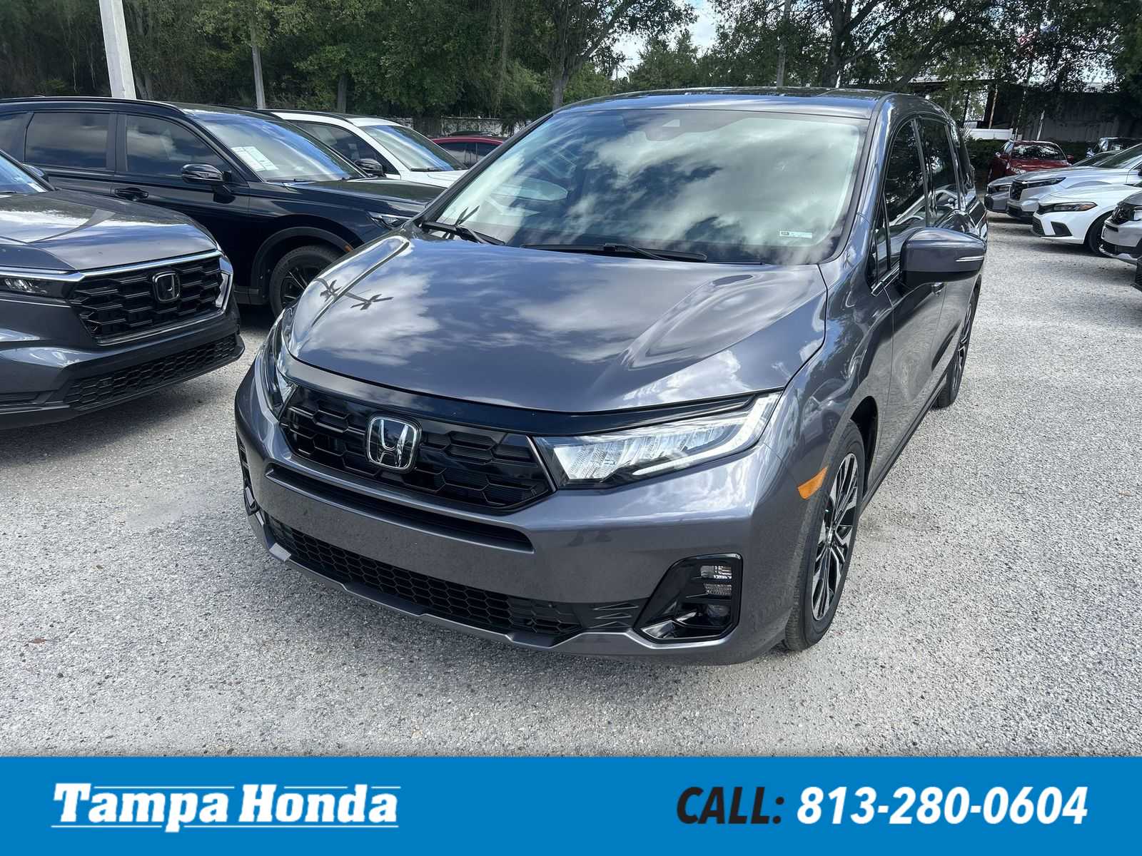 2026 Honda Odyssey Elite