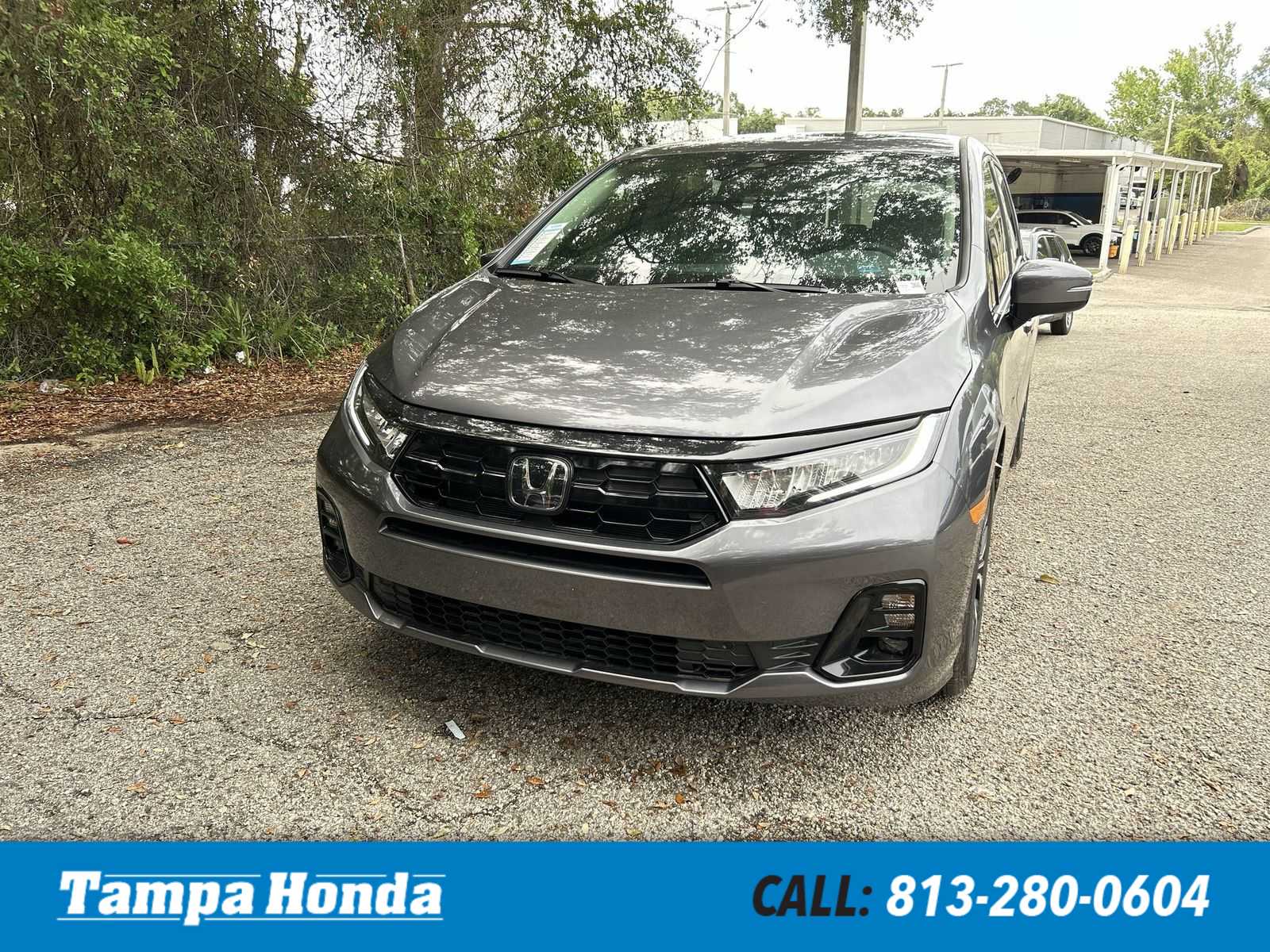 2026 Honda Odyssey Elite
