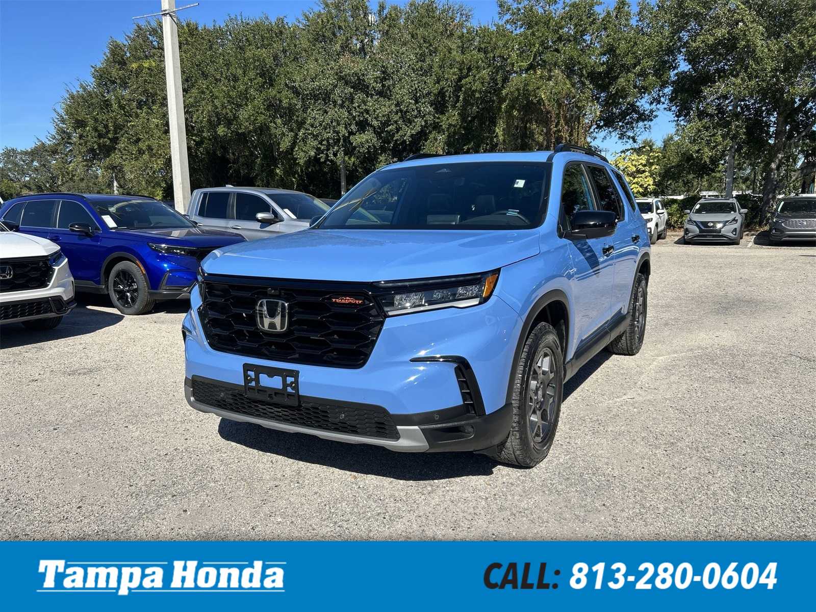 2024 Honda Pilot TrailSport's photo