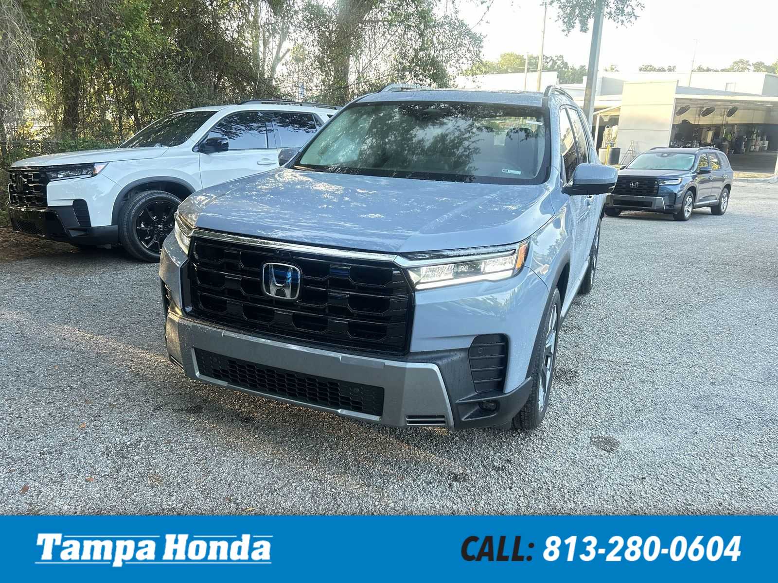 2026 Honda Pilot Elite AWD's photo