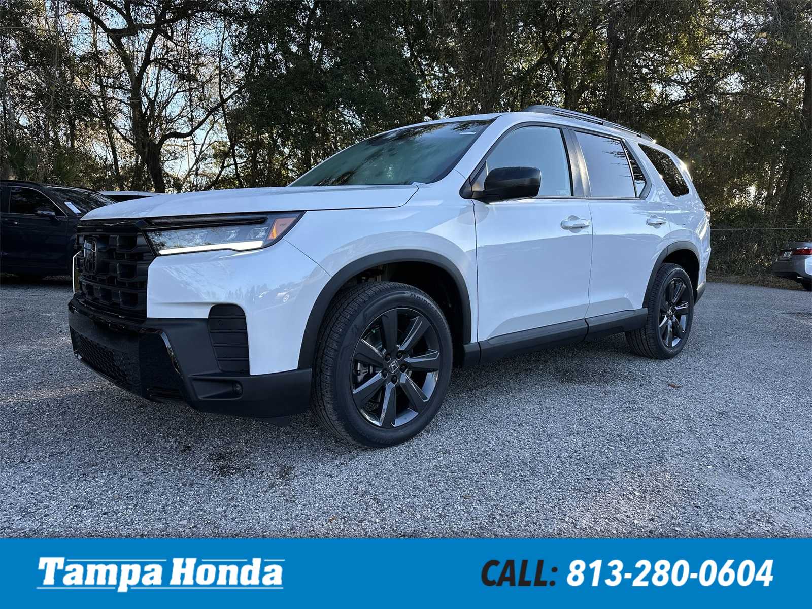 Honda Pilot Sport 2026