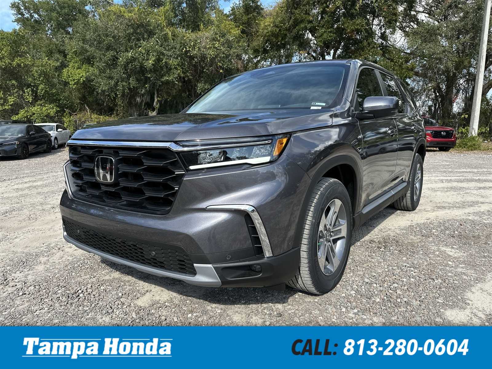 2025 Honda Pilot EX-L's photo