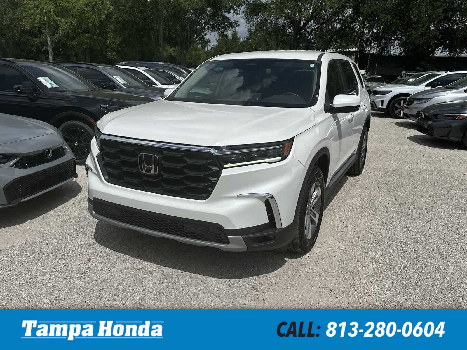 2025 Honda Pilot EX-L