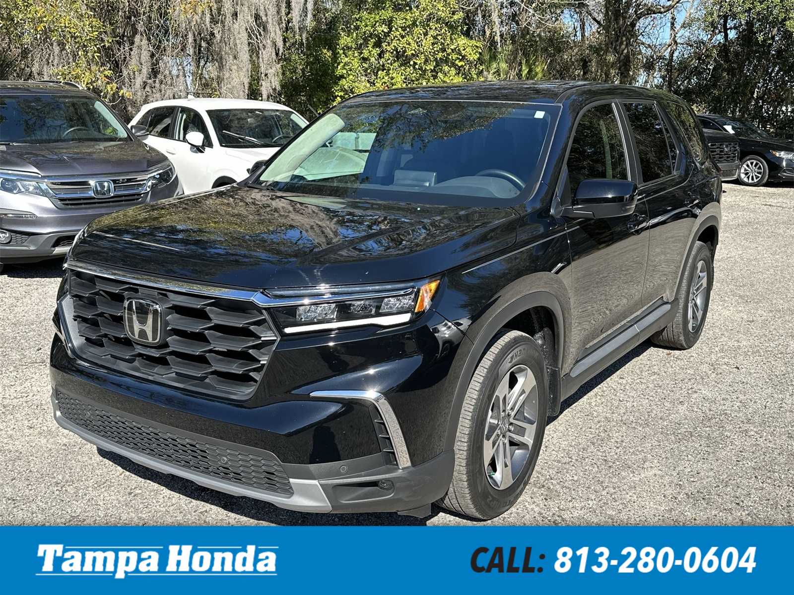 2024 Honda Pilot EX-L 8 Passenger