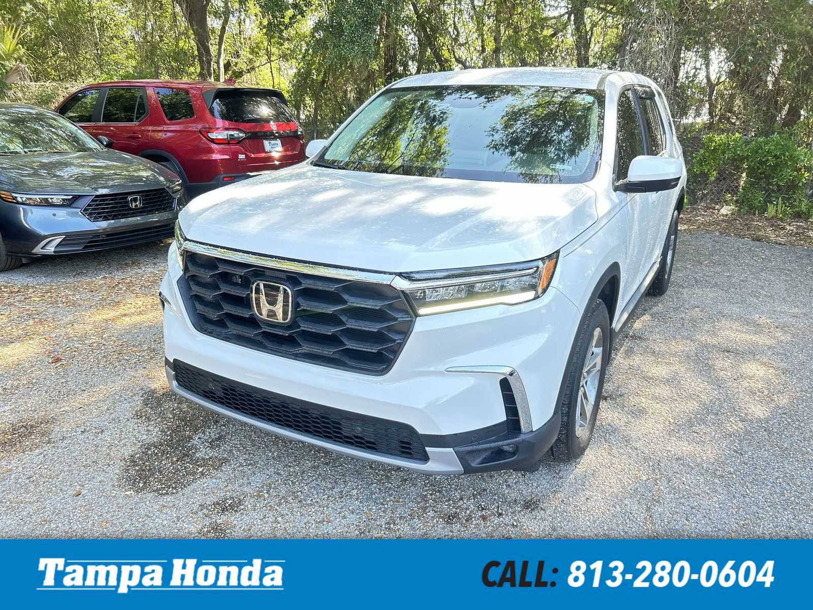 2024 Honda Pilot EX-L 8 Passenger