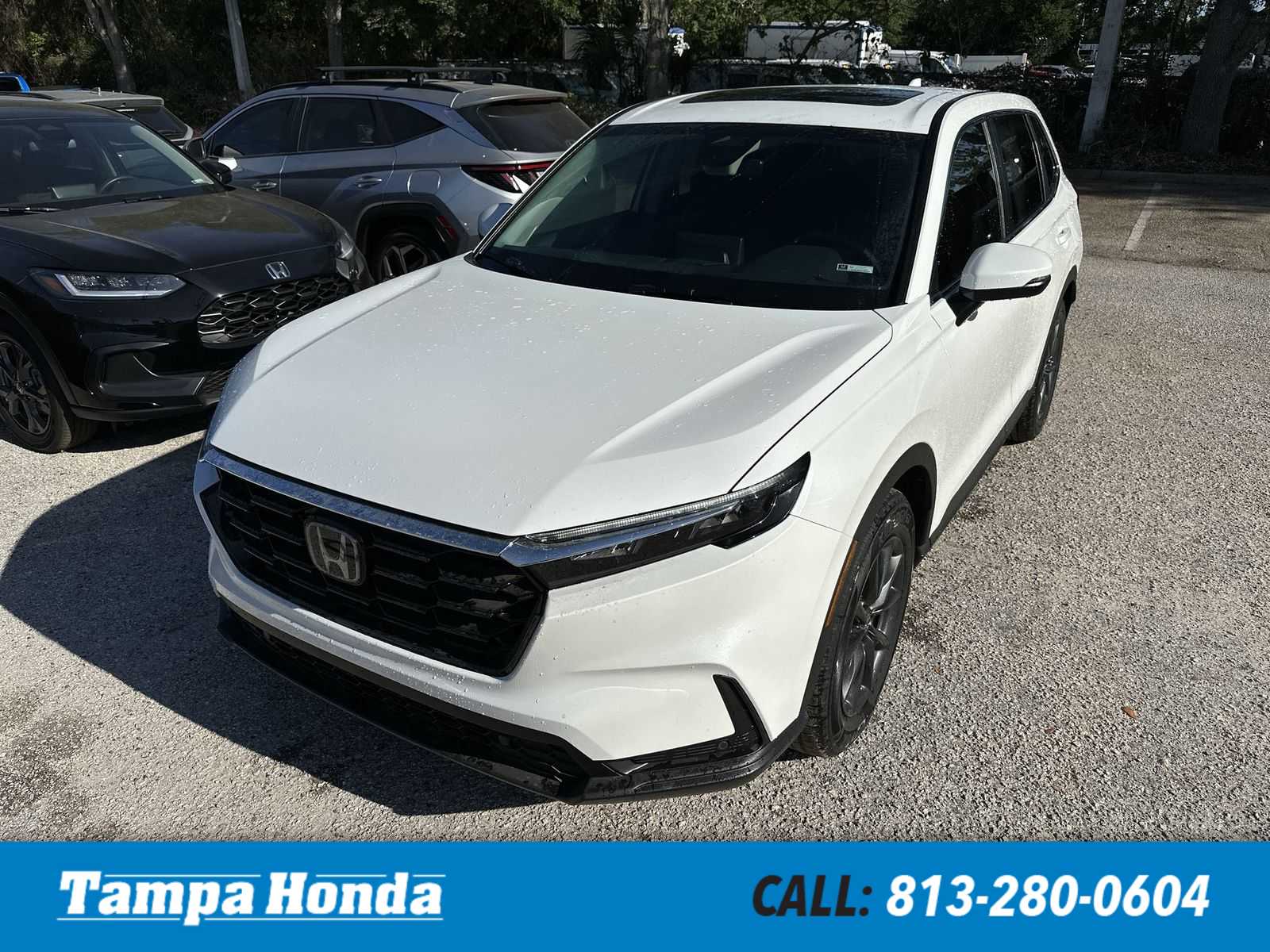 2026 Honda CR-V EX-L