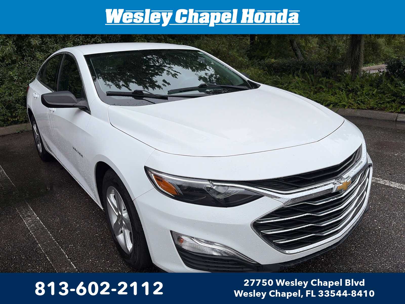 2023 Chevrolet Malibu 1FL