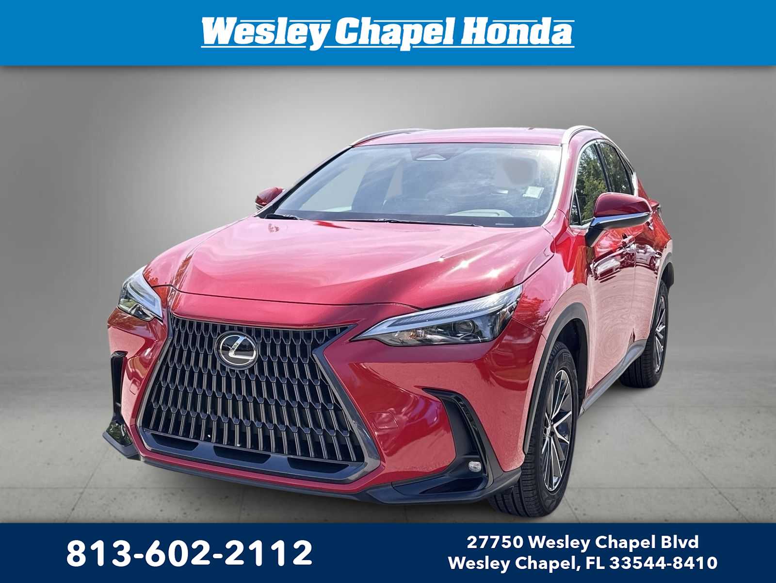2023 Lexus NX 250 