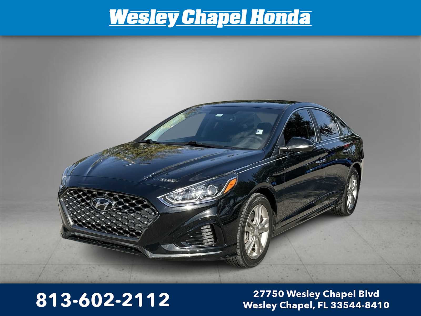2019 Hyundai Sonata SEL 2019 Hyundai Sonata SEL