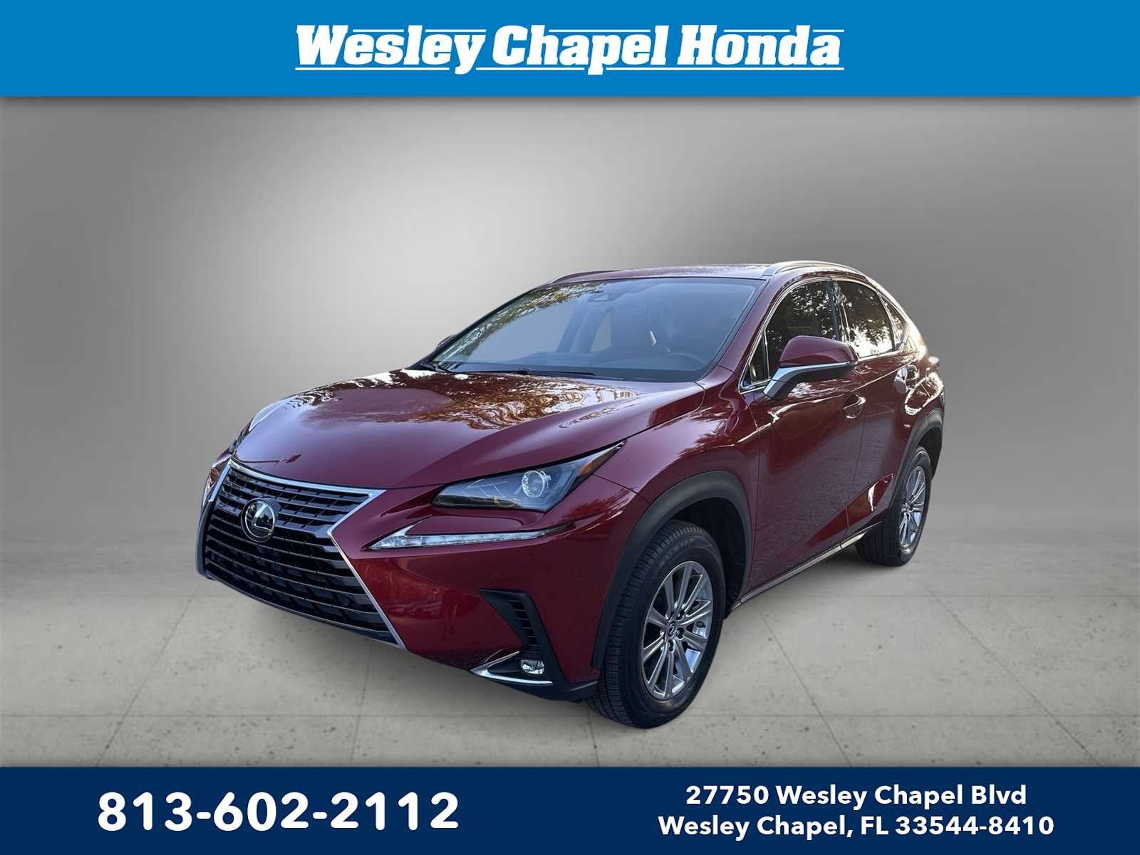 2021 Lexus NX  2021 Lexus NX