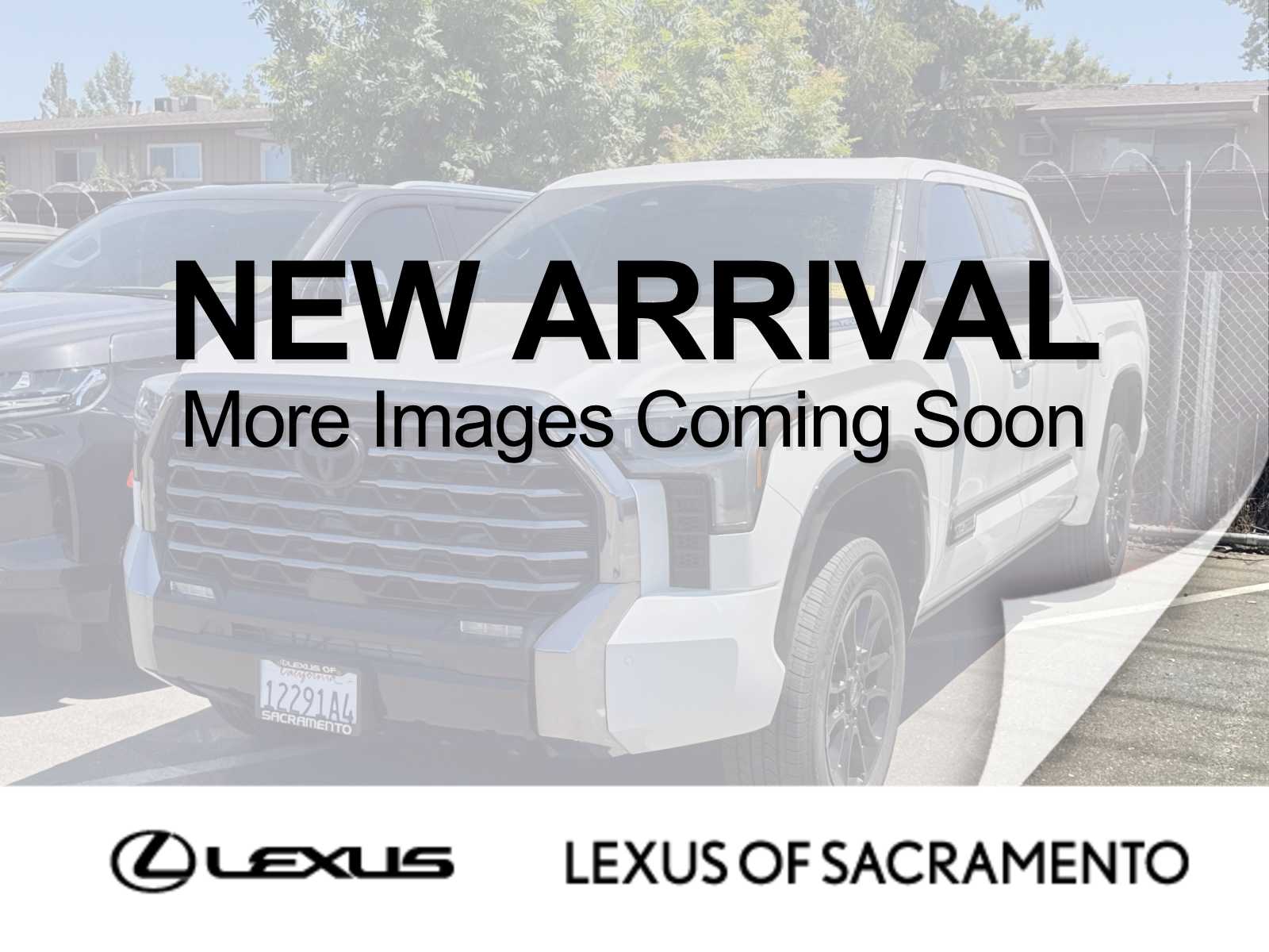 White (Wind Chill Pearl) 2024 Toyota Tundra Hybrid Pickup Truck Four-Wheel Drive Automatic