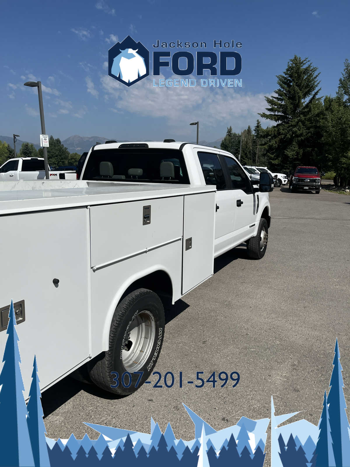 2022 Ford Super Duty F-350 DRW XL 4WD Crew Cab 179 WB 60 CA 17