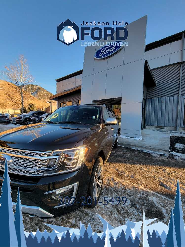 2021 Ford Expedition Max Platinum 2