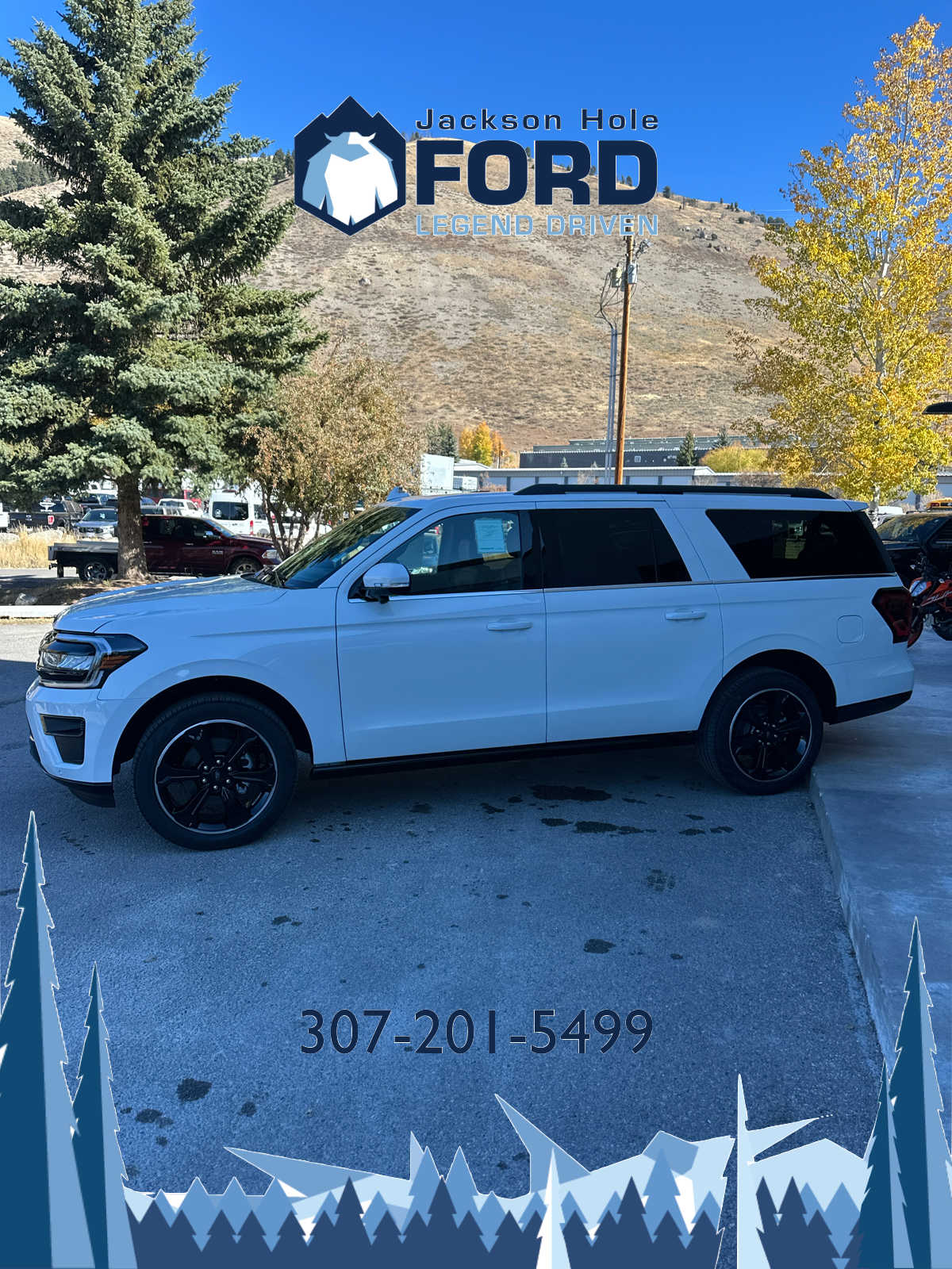 2024 Ford Expedition Max Limited 9