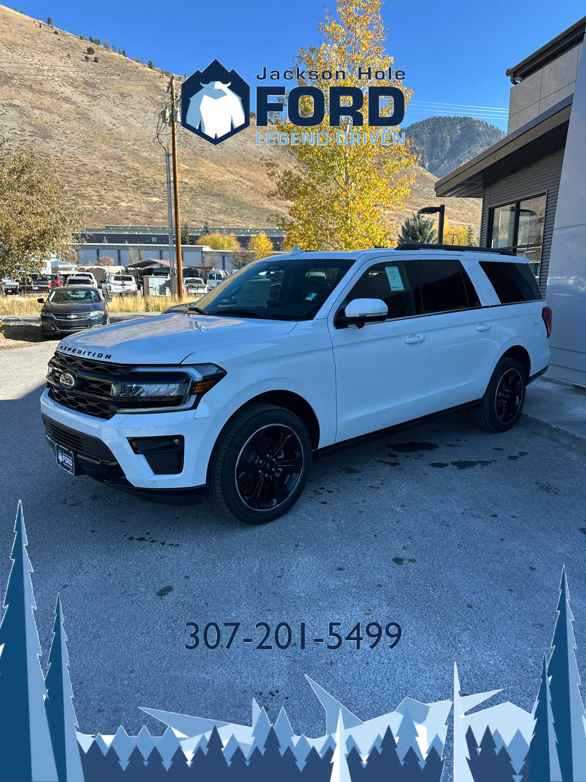 2024 Ford Expedition Max Limited 10