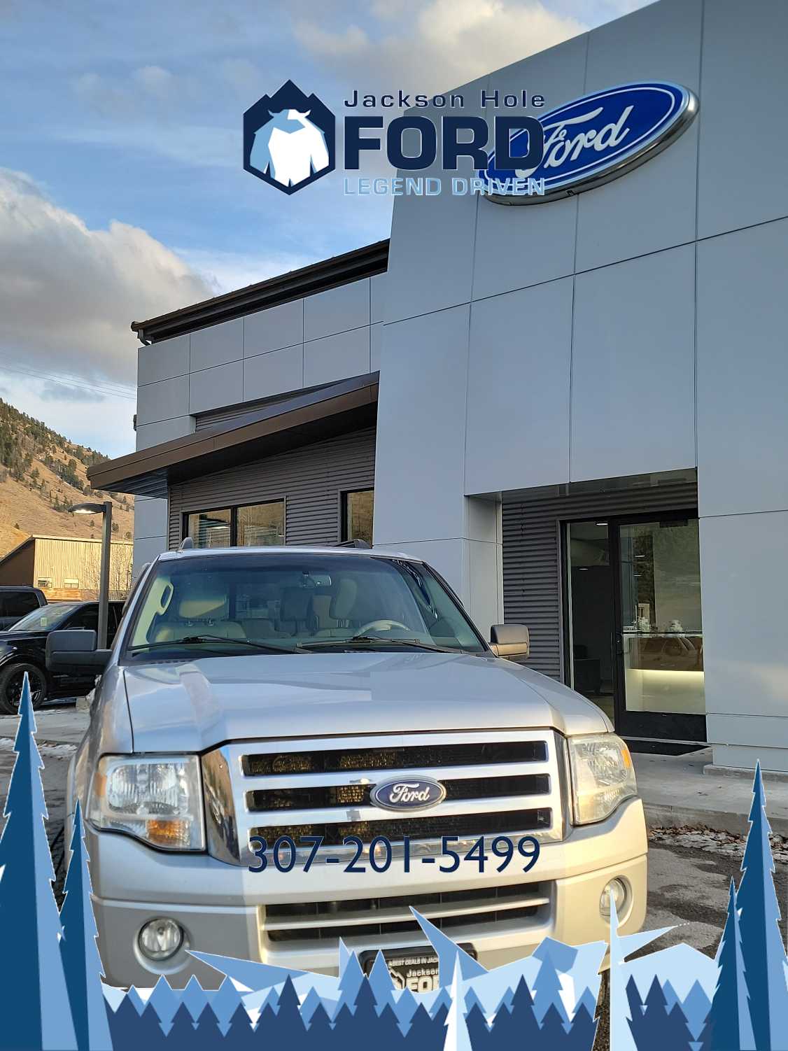 2010 Ford Expedition XLT 2