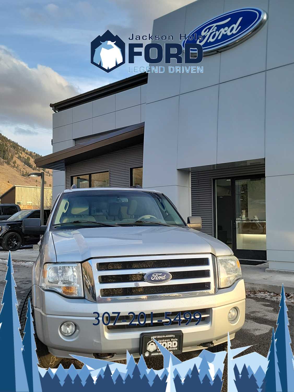 2010 Ford Expedition XLT 3