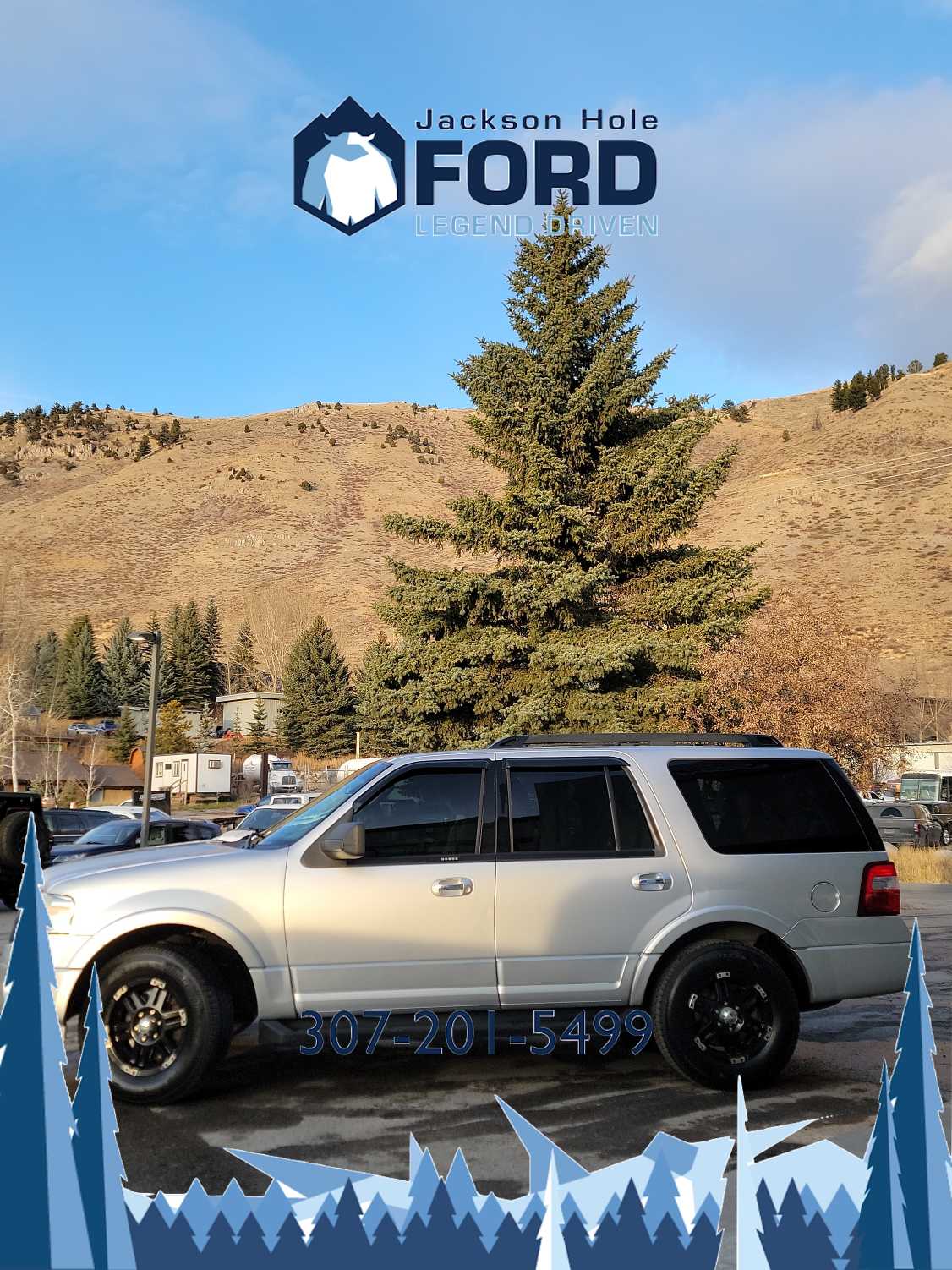 2010 Ford Expedition XLT 4