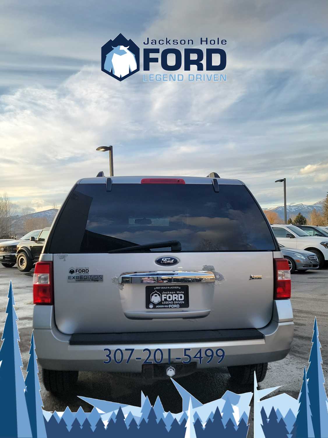 2010 Ford Expedition XLT 5