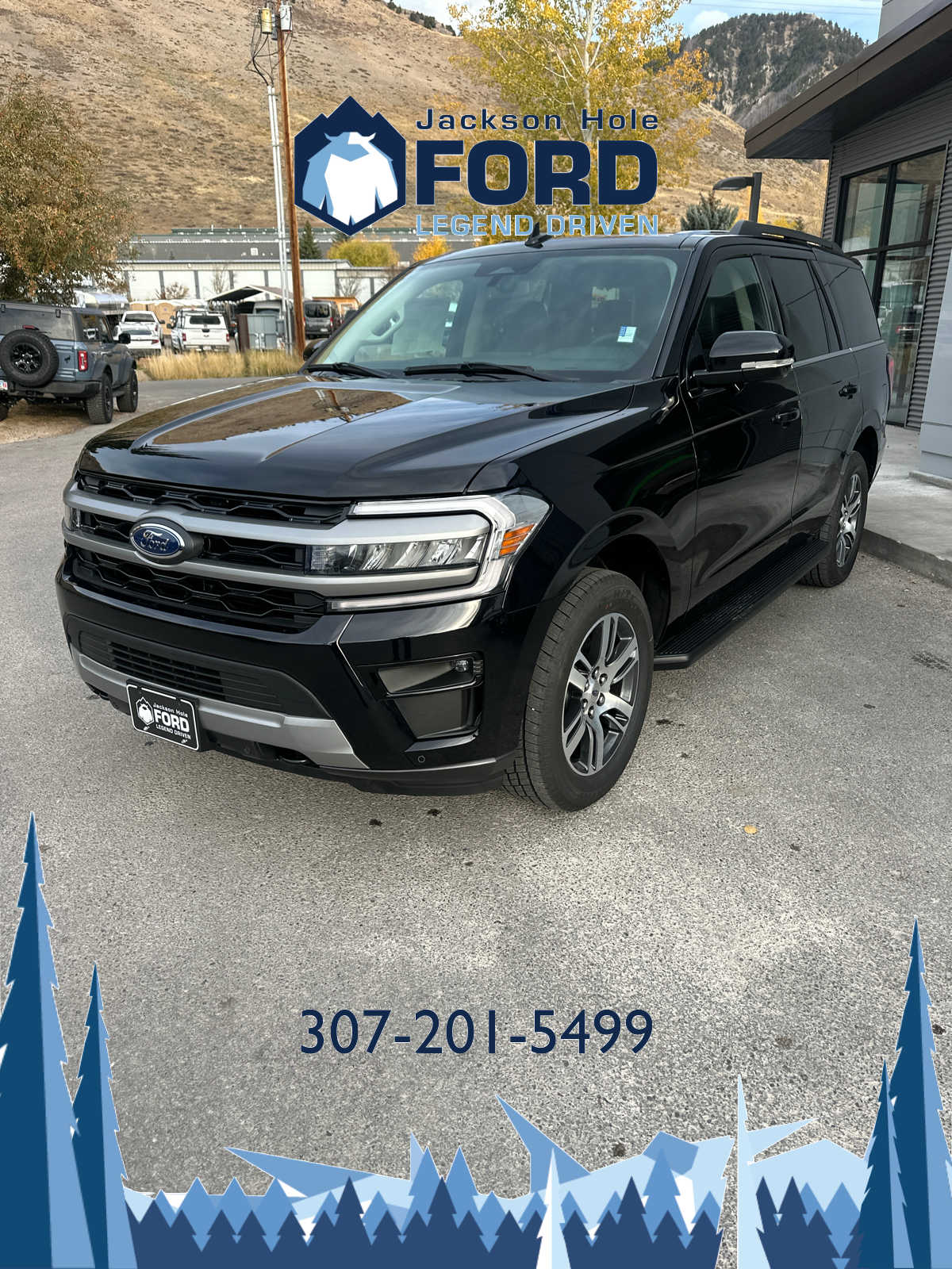 2024 Ford Expedition XLT 10