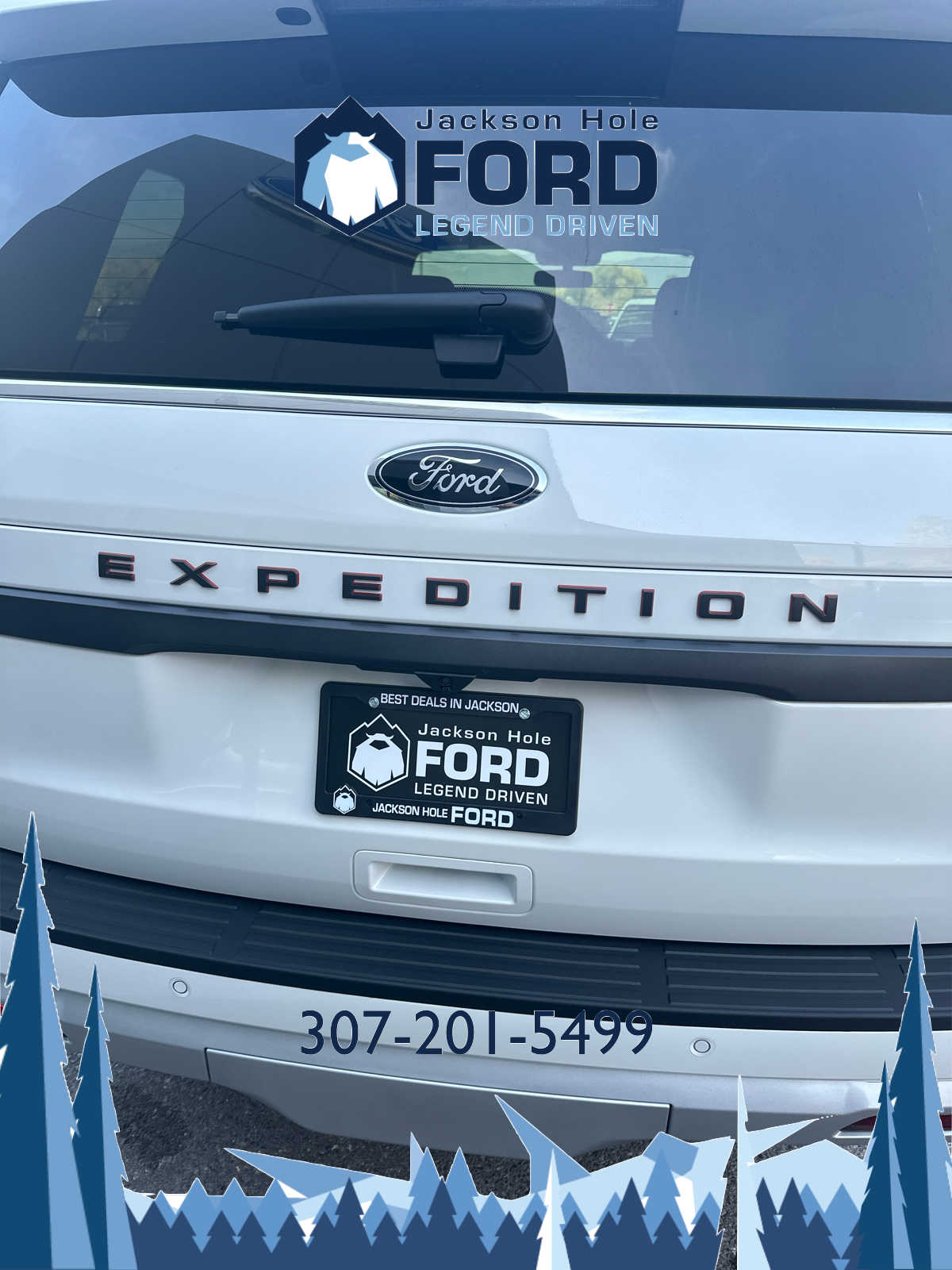 2024 Ford Expedition Timberline 9