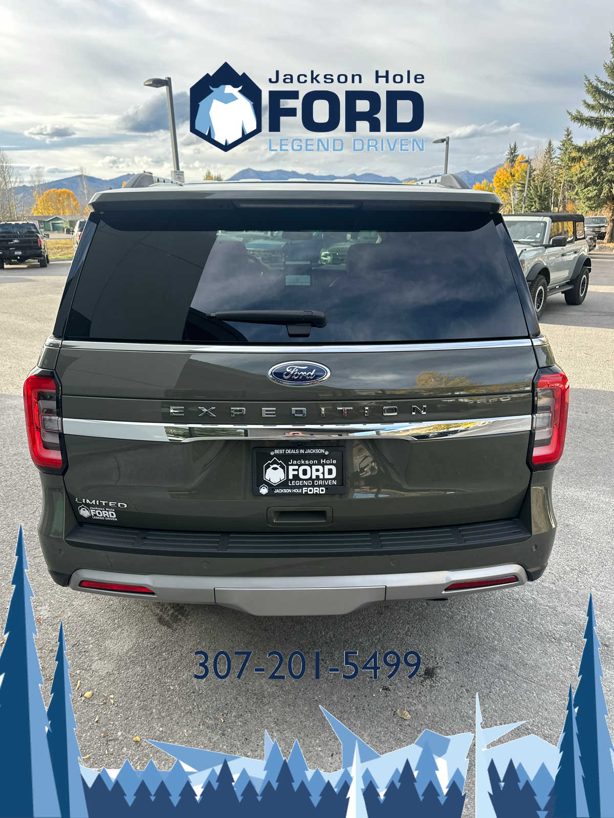 2024 Ford Expedition Limited 4