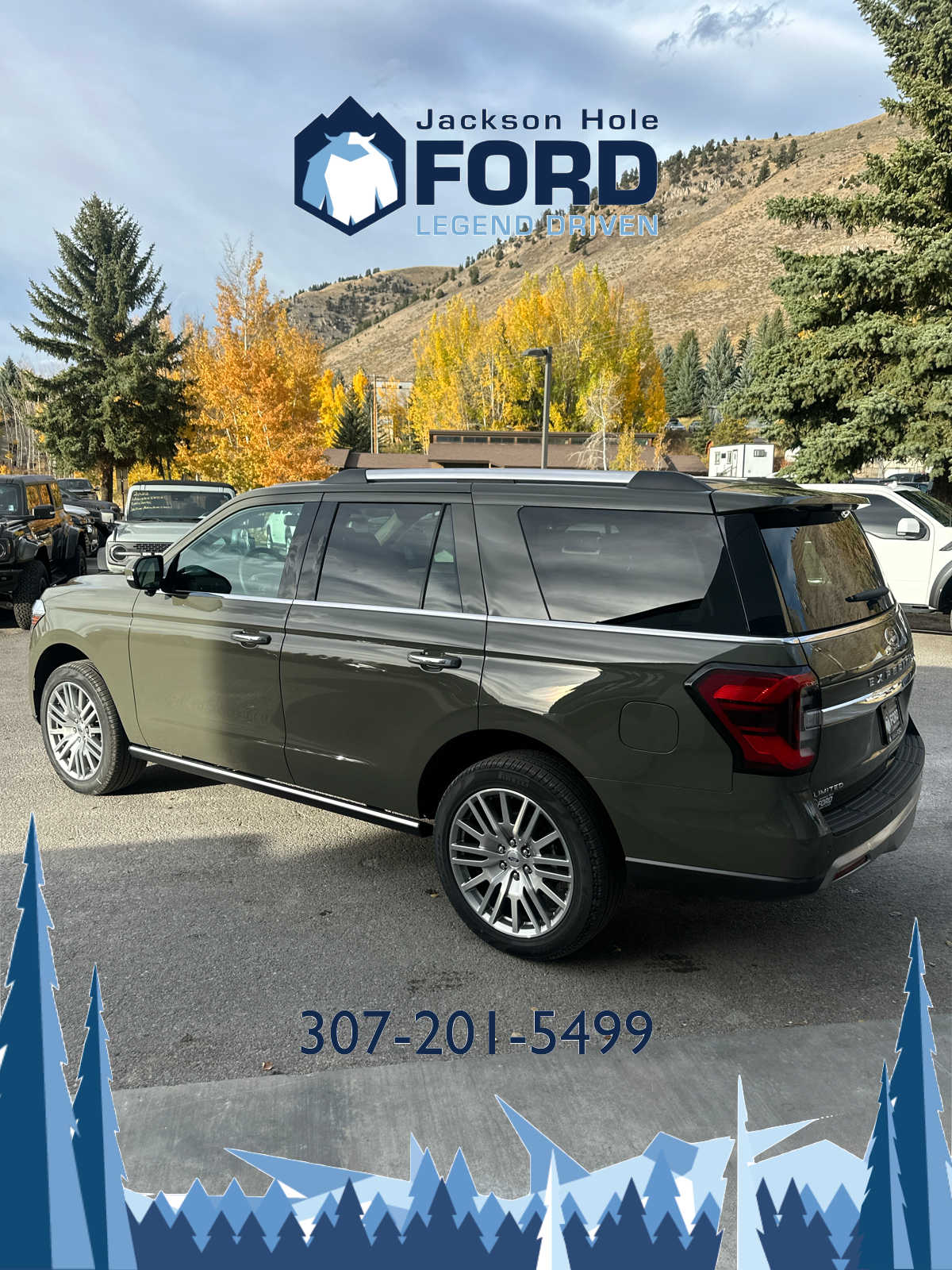 2024 Ford Expedition Limited 6