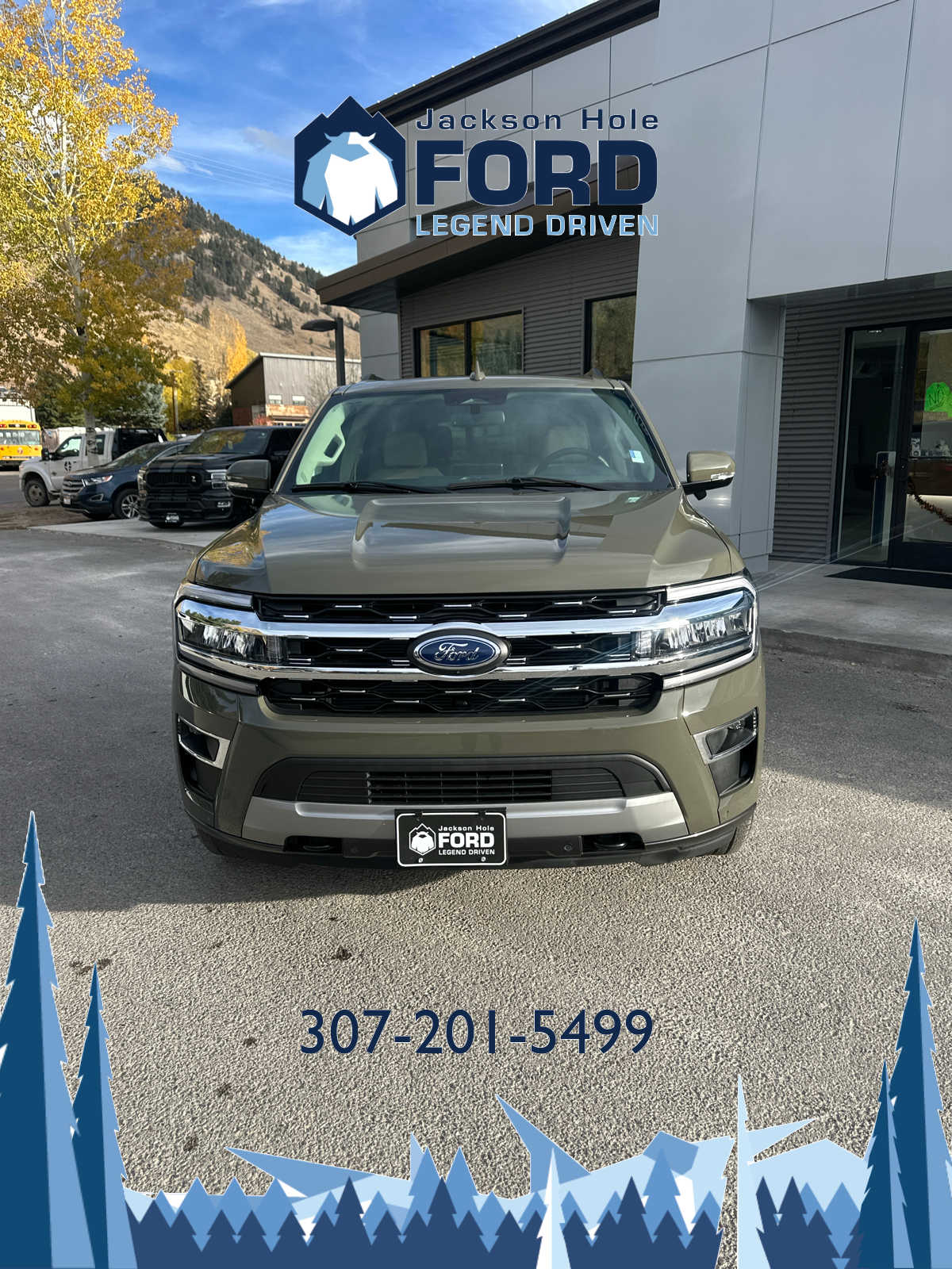 2024 Ford Expedition Limited 9