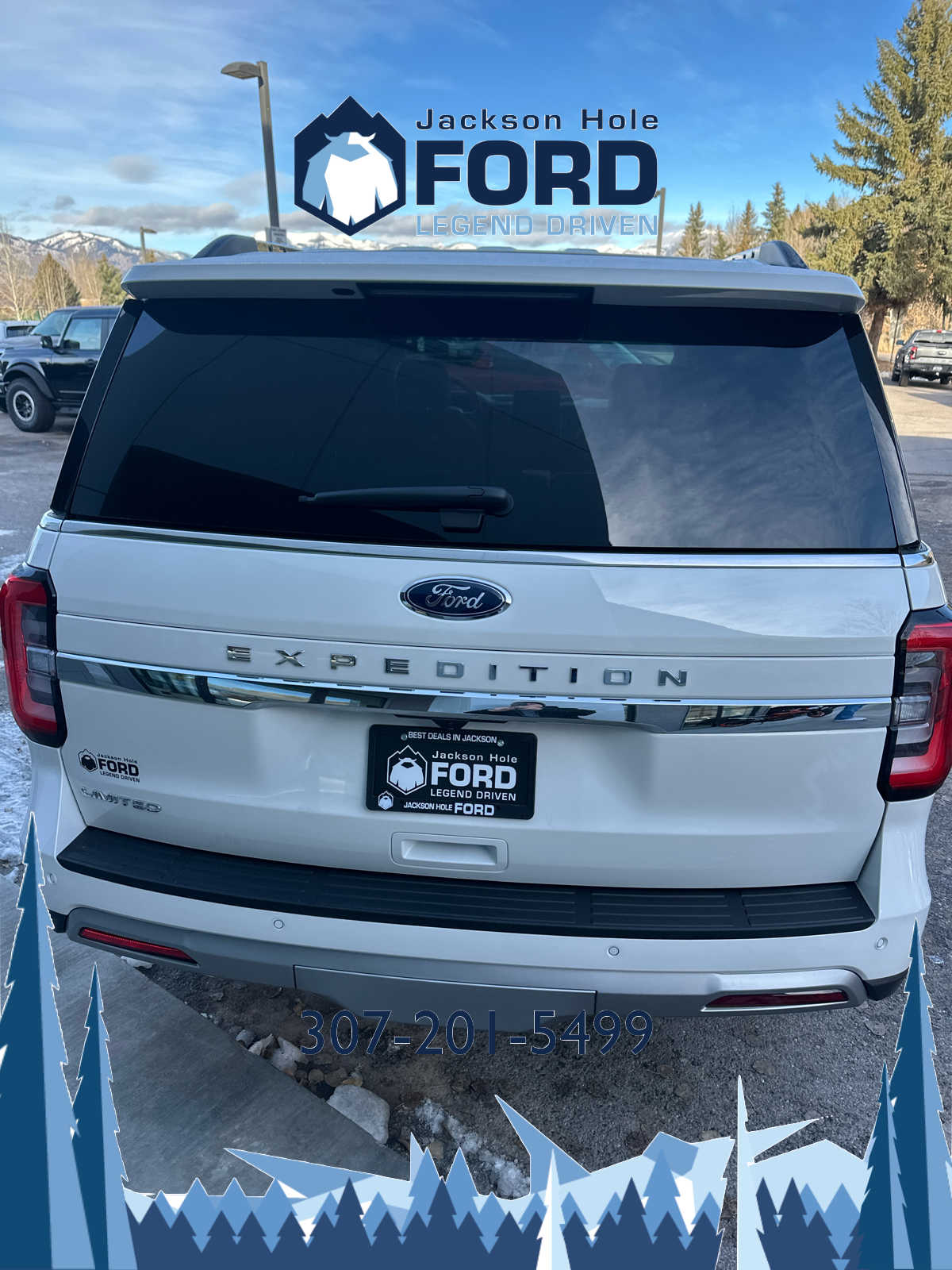 2024 Ford Expedition Limited 6