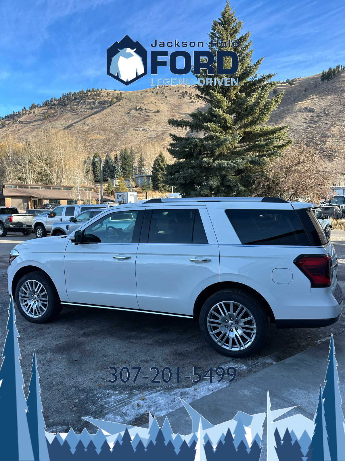 2024 Ford Expedition Limited 10