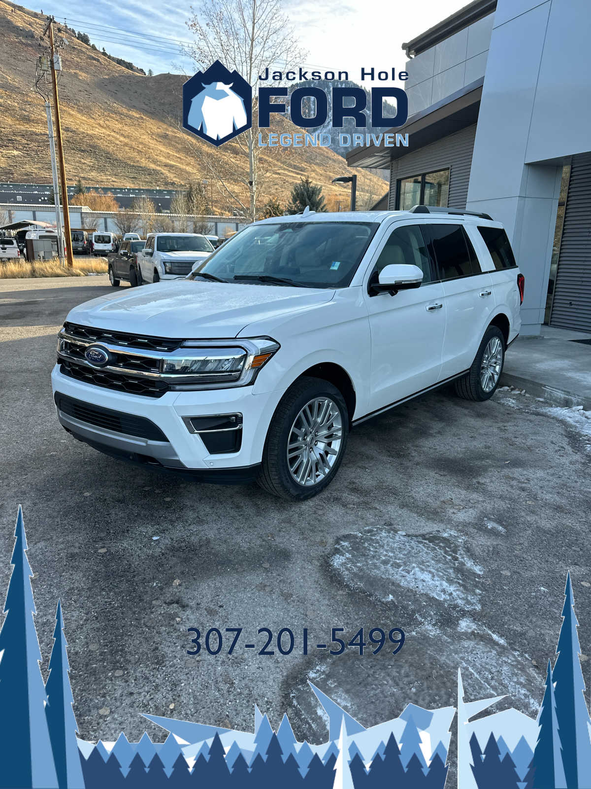 2024 Ford Expedition Limited 12