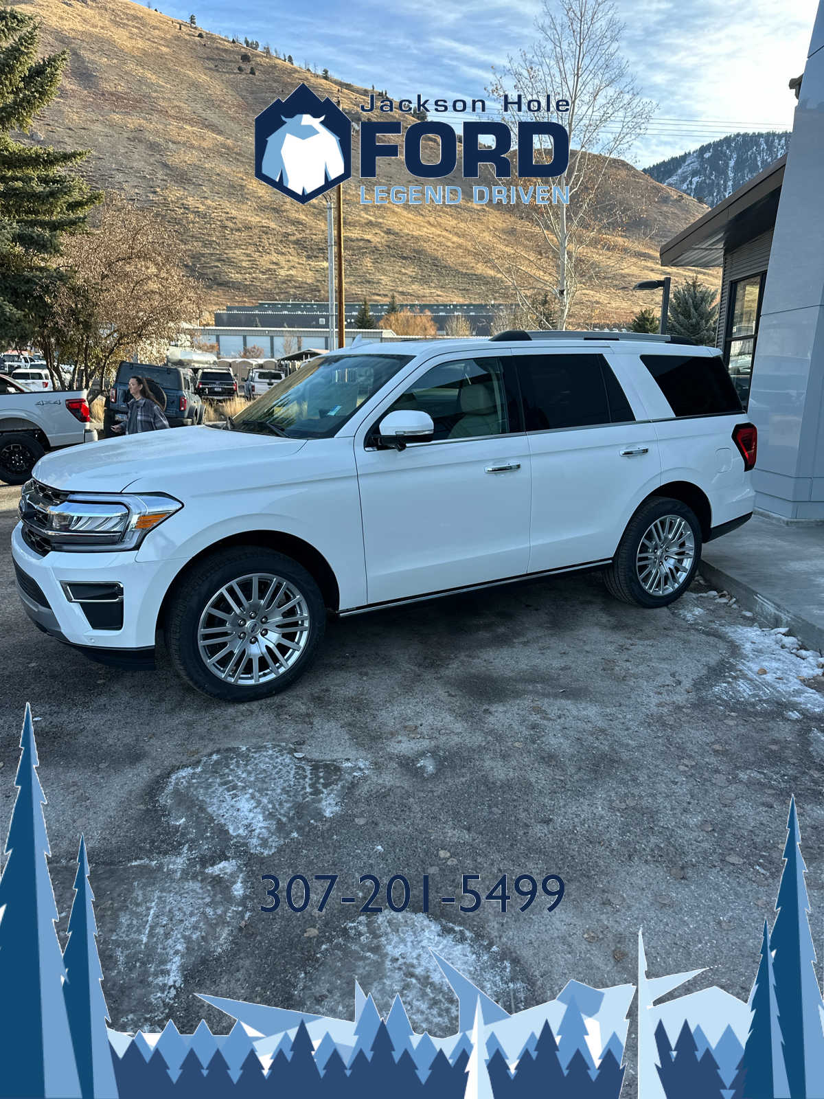 2024 Ford Expedition Limited 11