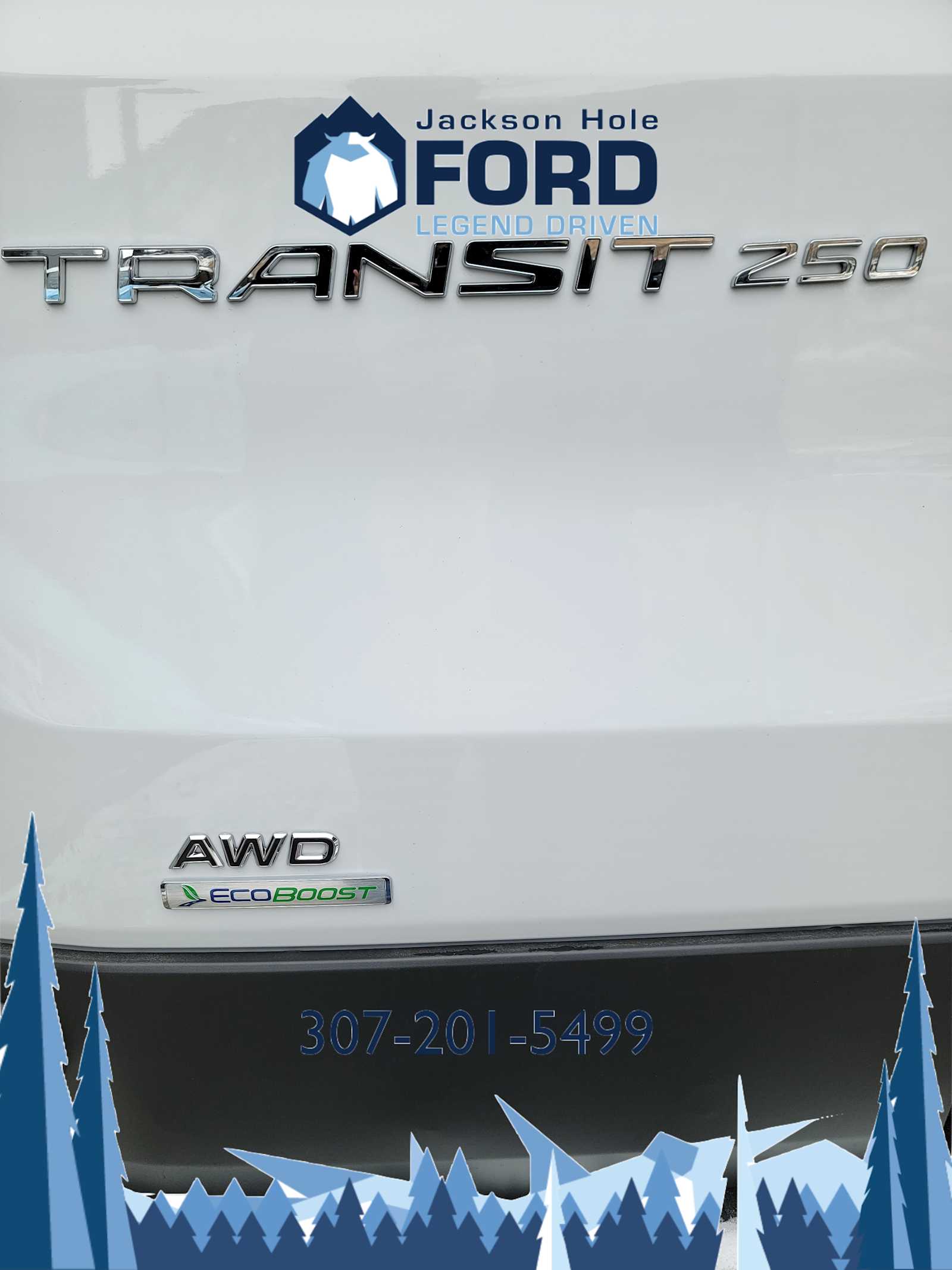 2024 Ford Transit  8