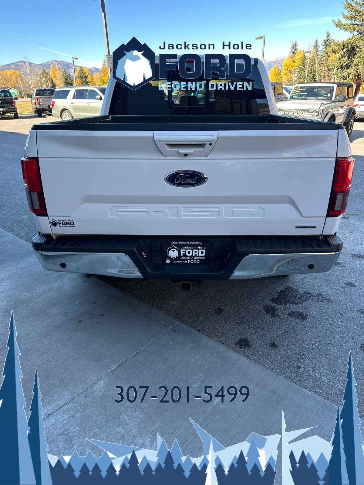 2020 Ford F-150 LARIAT 4WD SuperCrew 5.5 Box 5