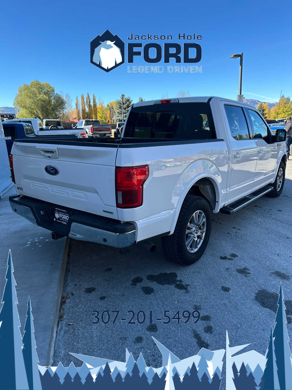 2020 Ford F-150 LARIAT 4WD SuperCrew 5.5 Box 4