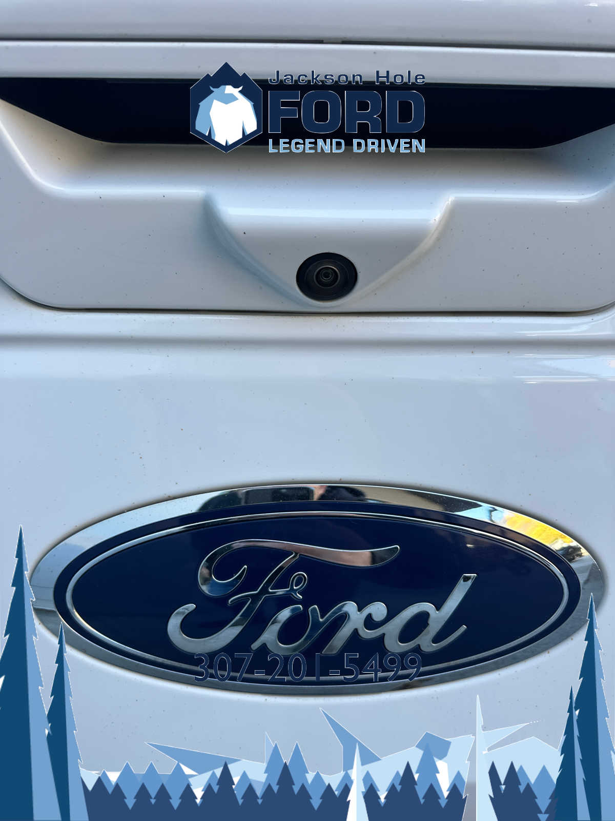 2020 Ford F-150 LARIAT 4WD SuperCrew 5.5 Box 8