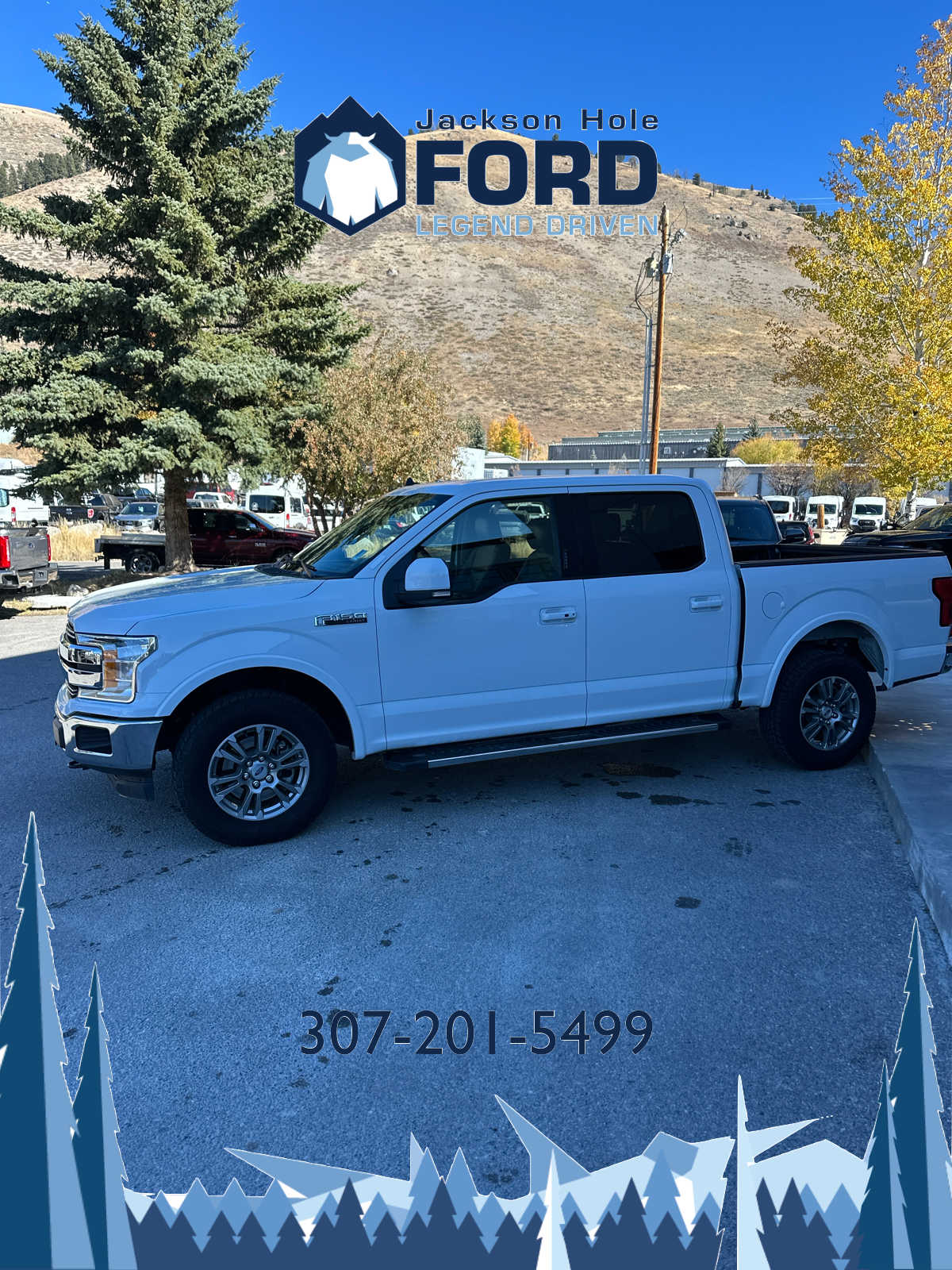 2020 Ford F-150 LARIAT 4WD SuperCrew 5.5 Box 10