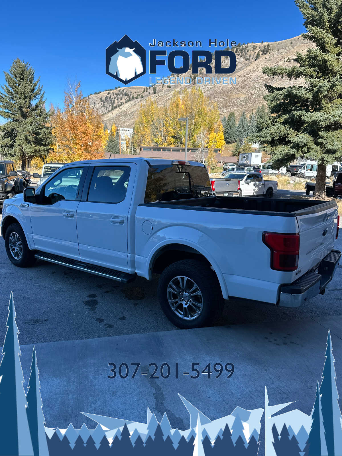 2020 Ford F-150 LARIAT 4WD SuperCrew 5.5 Box 9