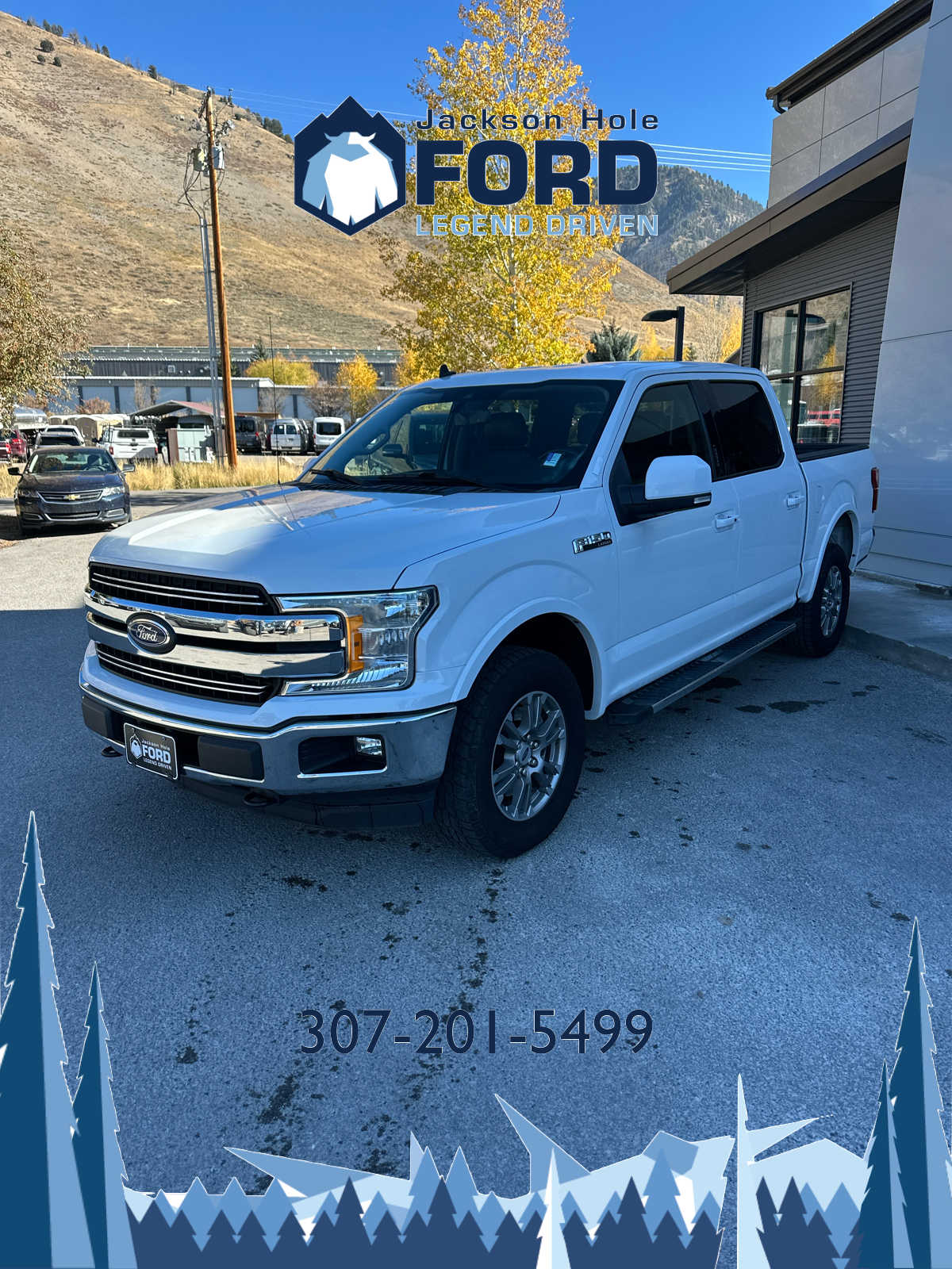 2020 Ford F-150 LARIAT 4WD SuperCrew 5.5 Box 11