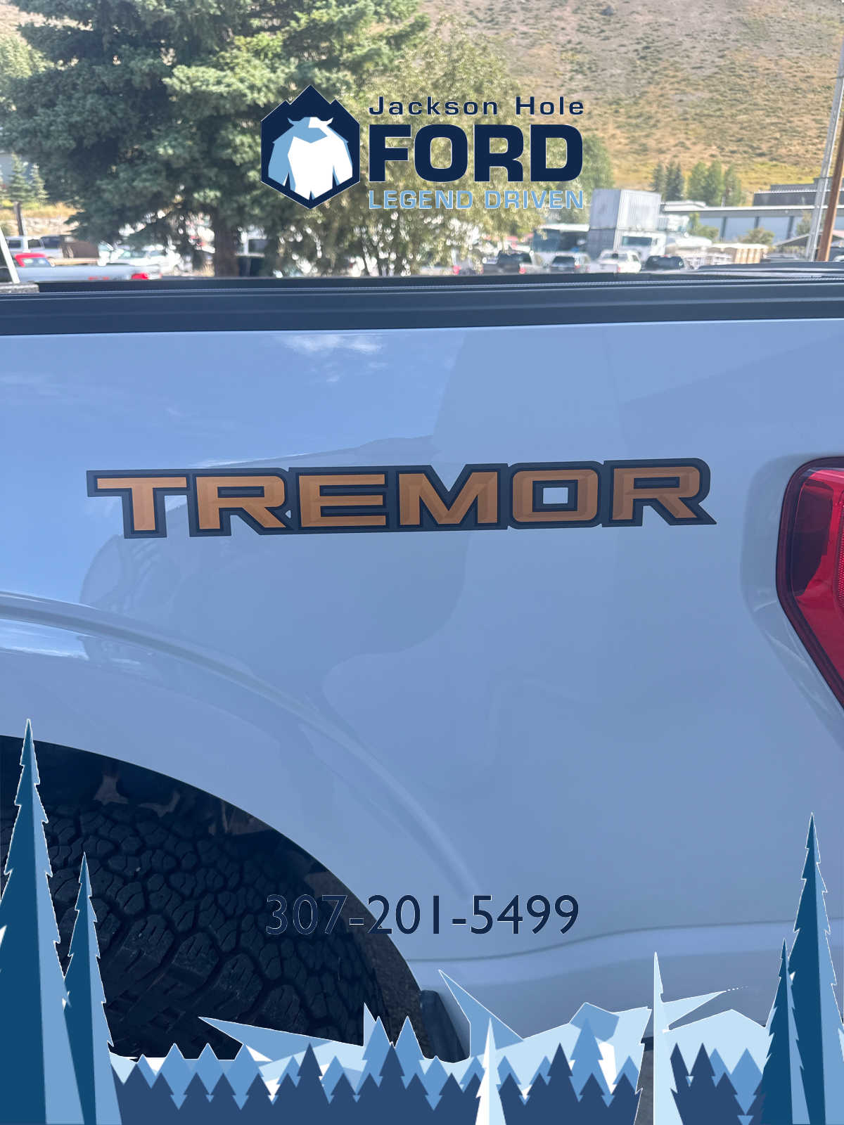 2023 Ford F-150 Tremor 4WD SuperCrew 5.5 Box 6