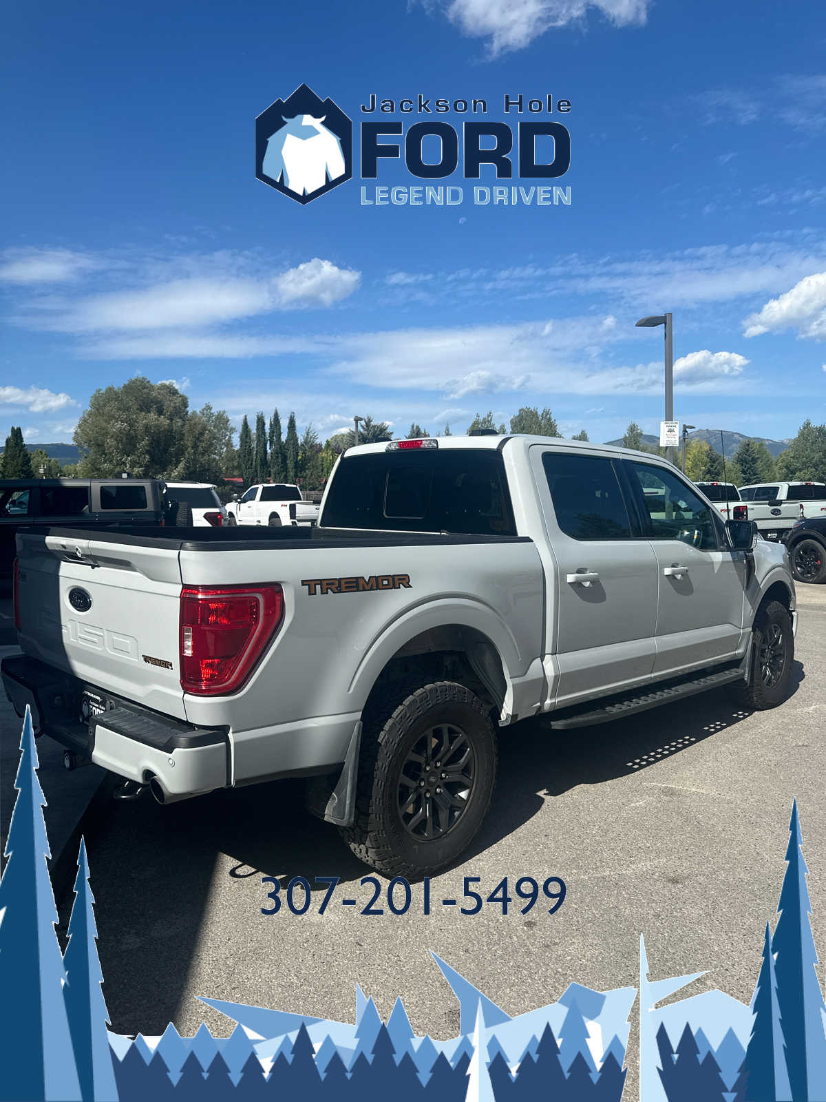 2023 Ford F-150 Tremor 4WD SuperCrew 5.5 Box 8