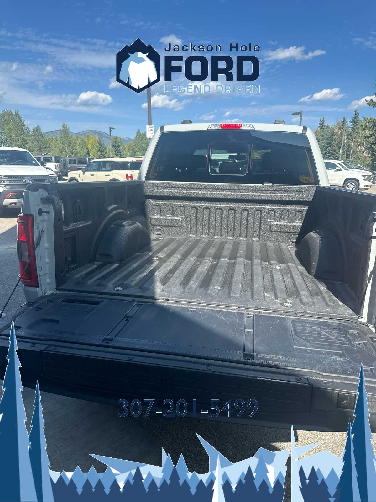 2023 Ford F-150 Tremor 4WD SuperCrew 5.5 Box 10